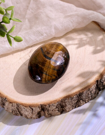 tiger eye palm stone hq