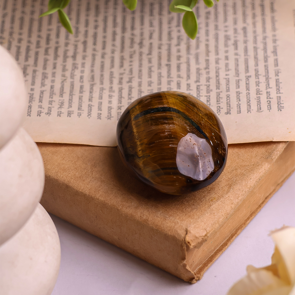 Tiger Eye Palm Stone (6) tiger eye palm stone hq