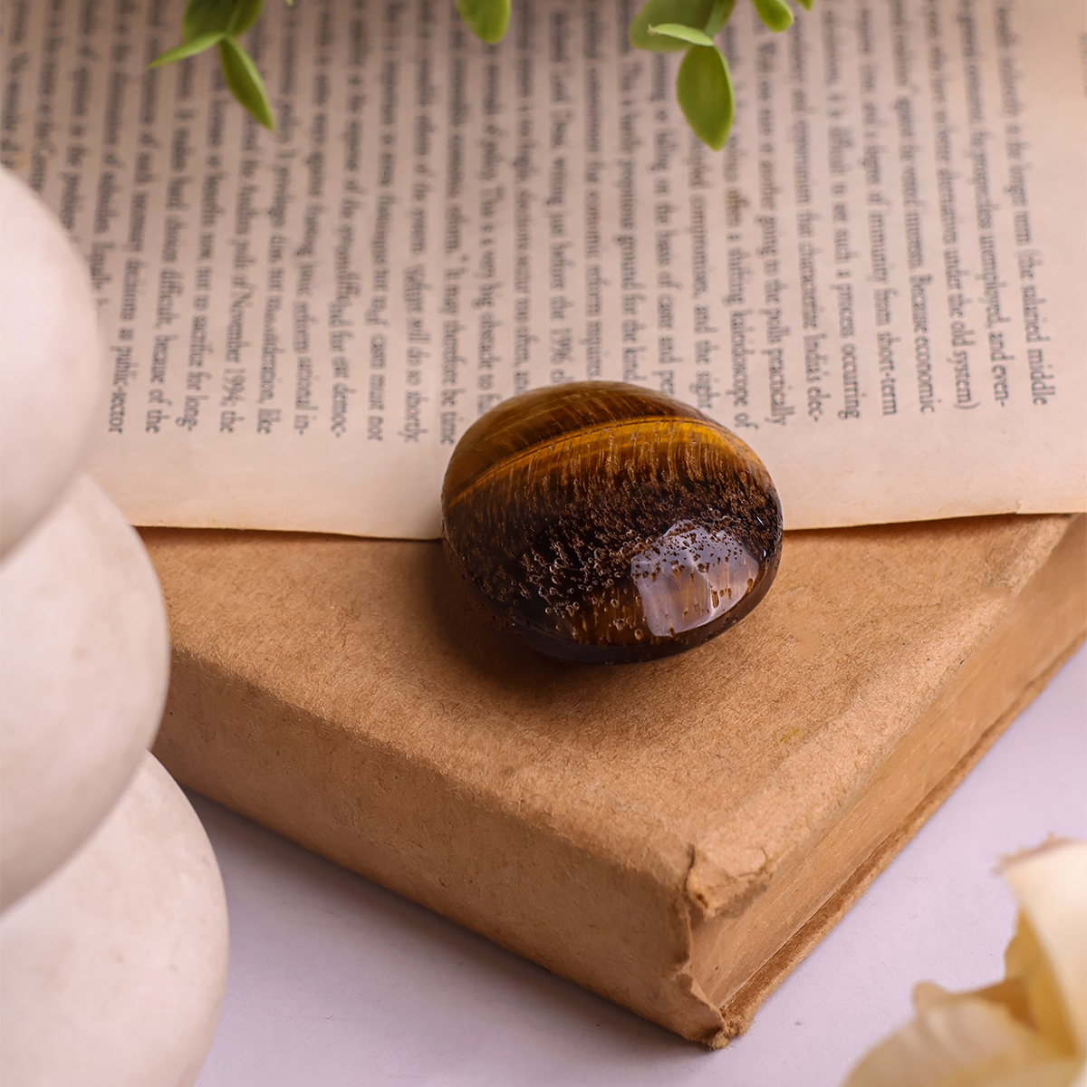 Tiger Eye Palm Stone (7) tiger eye palm stone hq