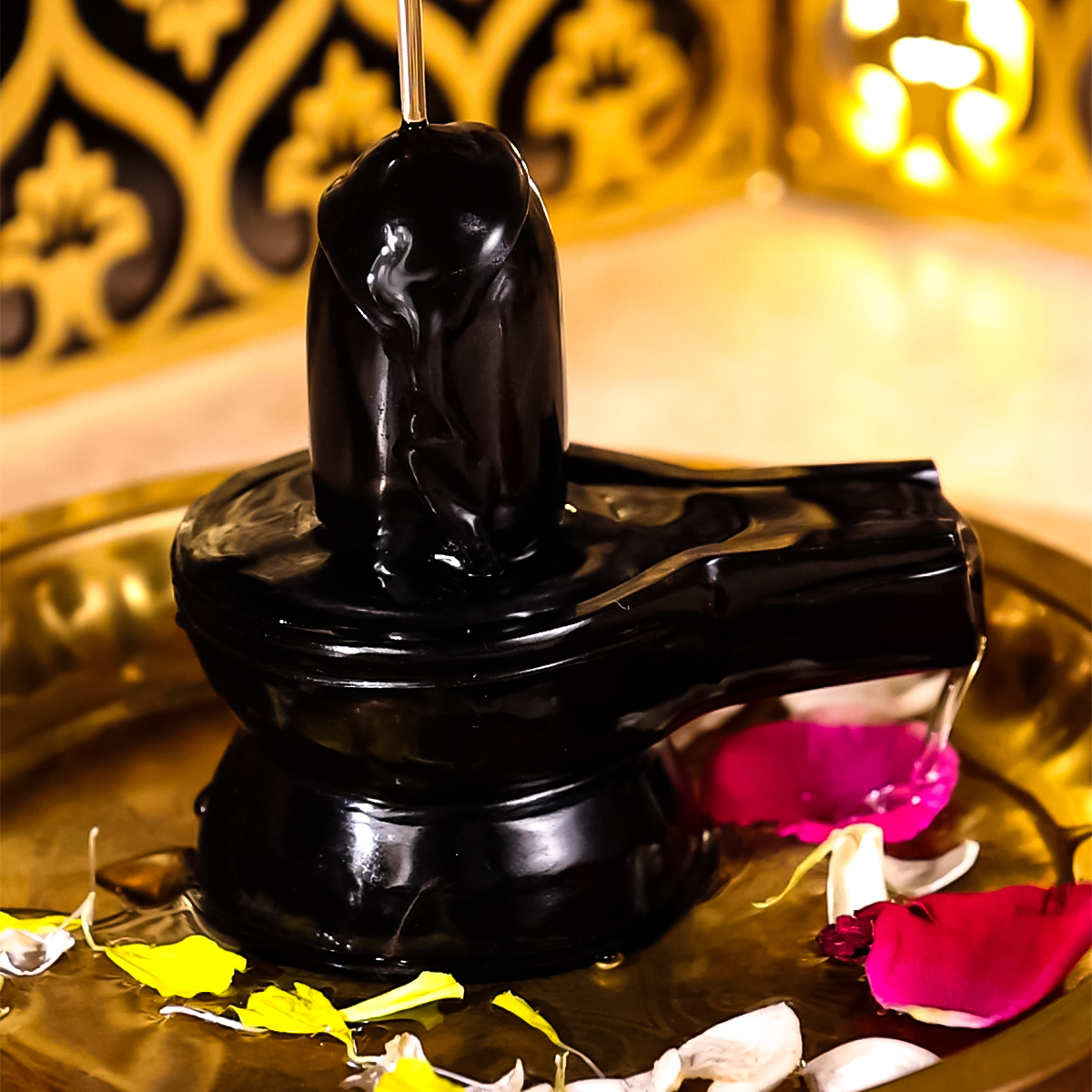 Jaldhari Shivling- Shubhanjali Store (2) jaldhari shivling