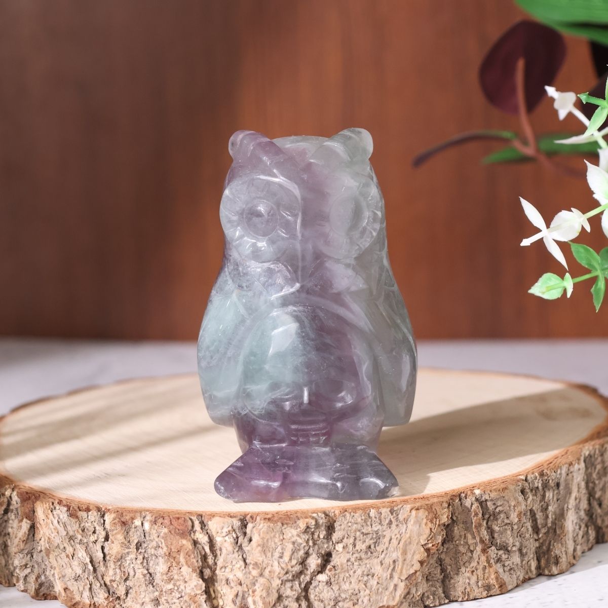 Multi fluorite Owl With Skull 3 inch-Shubhanjali Store (6) multi fluorite owl with skull 3 inch