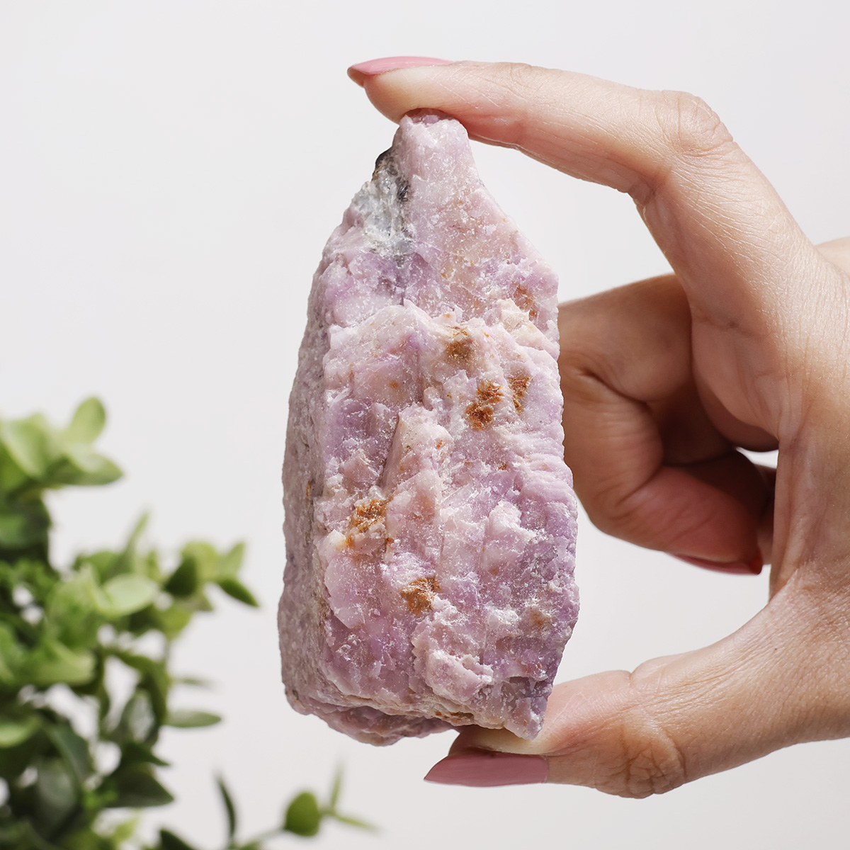 Kunzite Raw Shubhanjali Store (2) kunzite raw lq