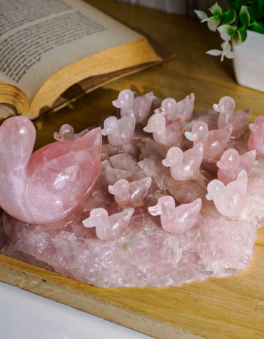 rose quartz duck family