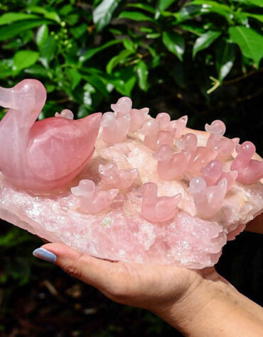 rose quartz duck family
