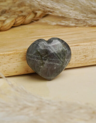 dendrite opal cabochon heart