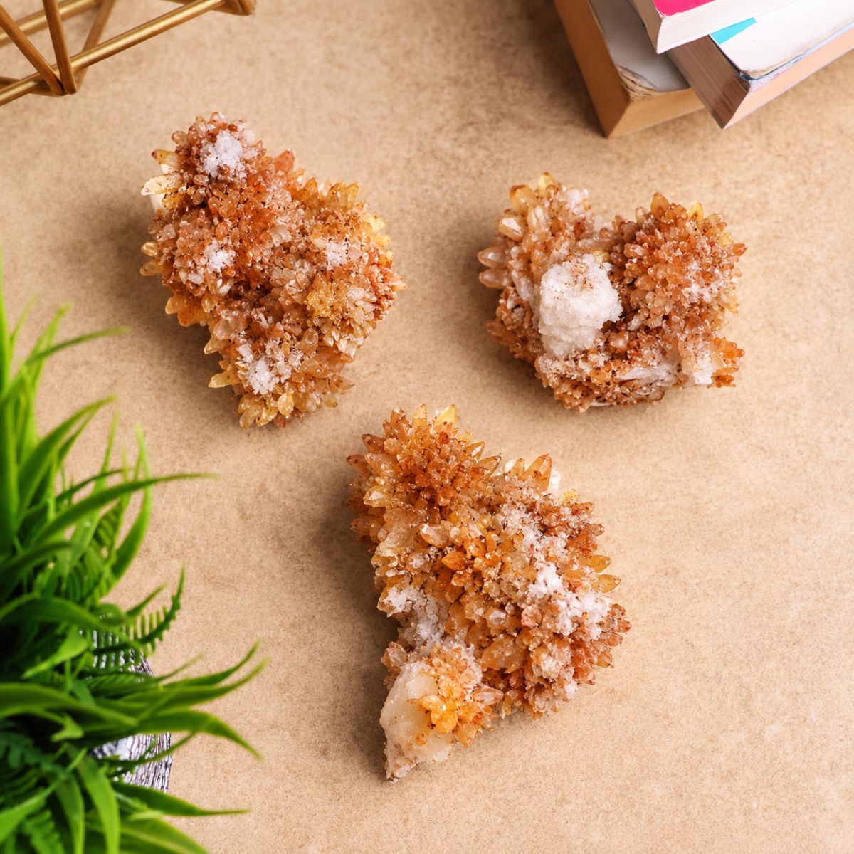 Creedite Cluster-Shubhanjali Store (2) creedite cluster
