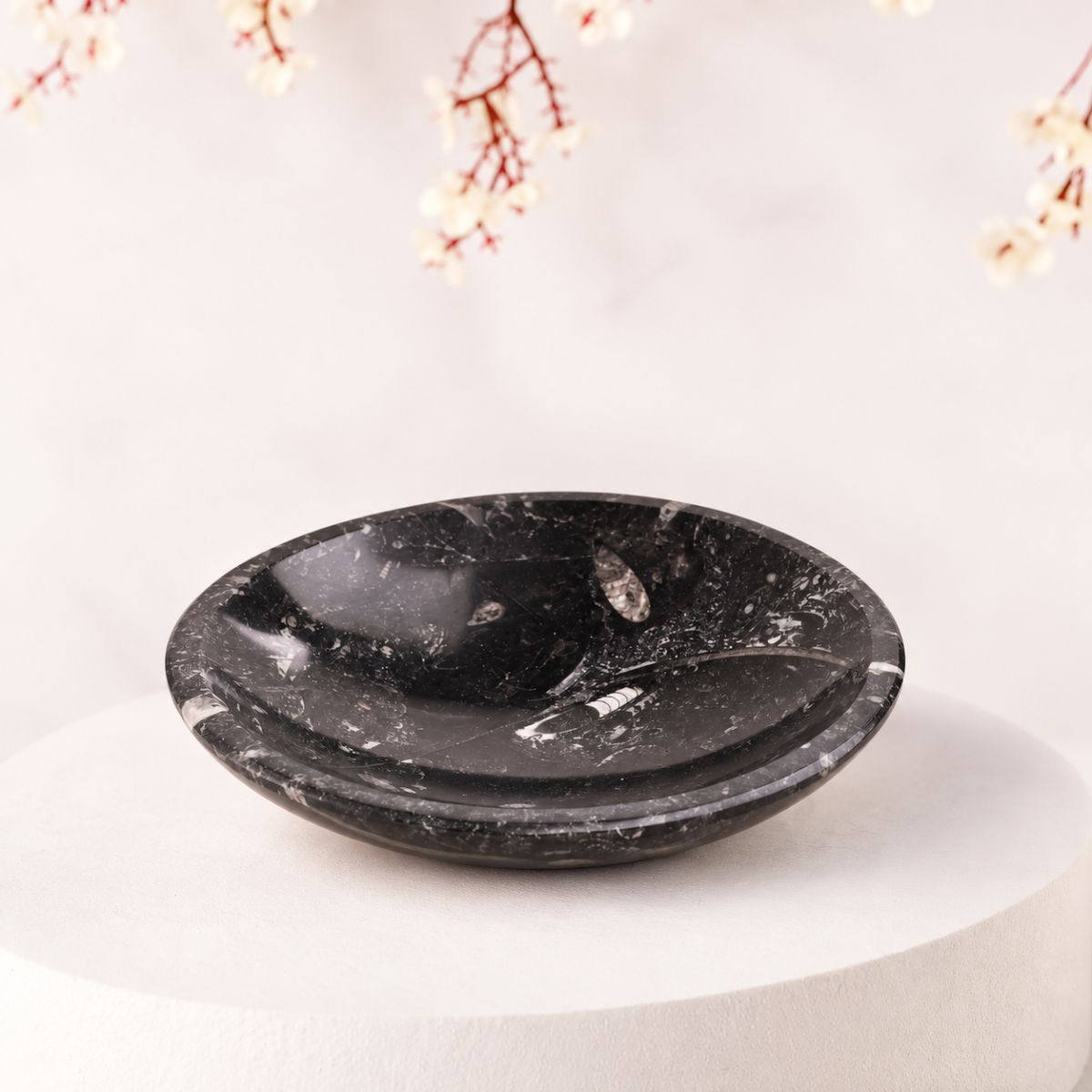 Orthoceras Bowl Big-Shubhanjali Store (2) orthoceras bowl big